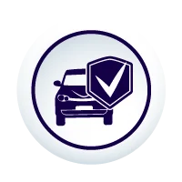 NS-HomeIcon-Protection